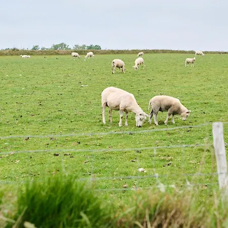 Droomsuites Texel 8 Personen By Droomvilla * Den Burg