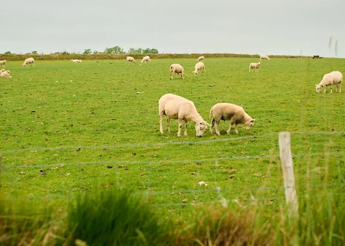 アパート Droomsuites Texel 8 Personen By Droomvilla *