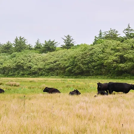 Lejlighed Droomsuites Texel 8 Personen By Droomvilla