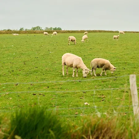 Lejlighed Droomsuites Texel 8 Personen By Droomvilla *