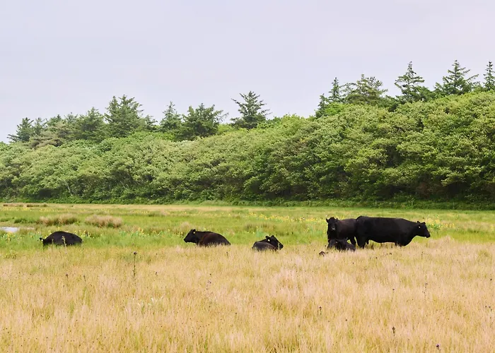 아파트 Droomsuites Texel 8 Personen By Droomvilla