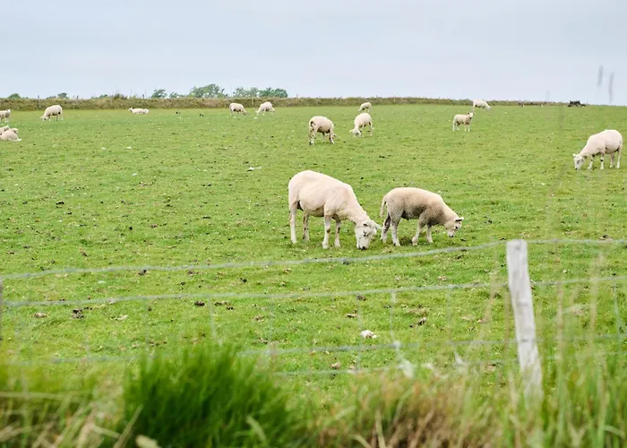 Droomsuites Texel 8 Personen By Droomvilla * 덴버크